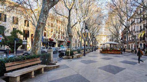 pg del born palma|Passeig d’es Born .